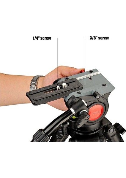 DTW-75AW ve DVH-5W Fluid Başlık Profesyonel Video Tripod