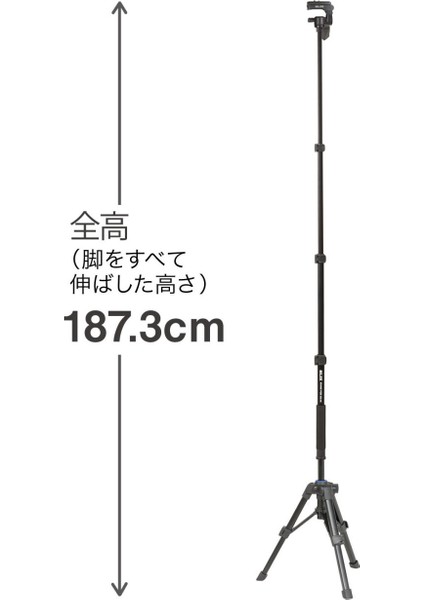 Dq-20 Plate modelleri