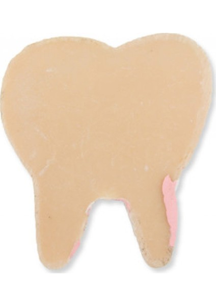 20 Adet Diş Polyester Pembe Pk:1 fiyatları