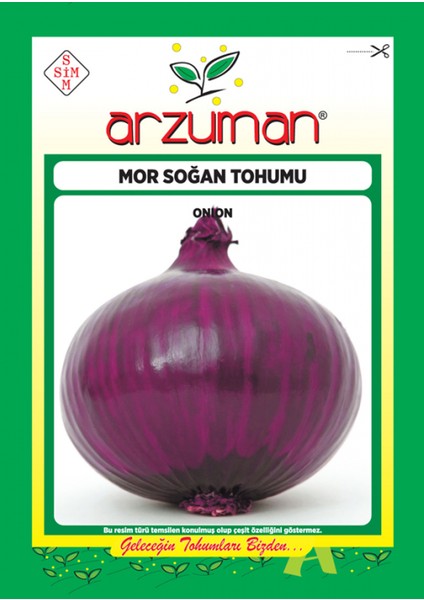 Mor Soğan Tohumu