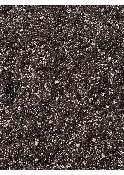Torf Tohum Çimlendirme Toprağı 20 Lt