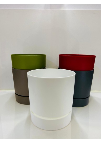 Begonya 18 cm Sütlü Kahve Tabaklı Saksı fiyatları