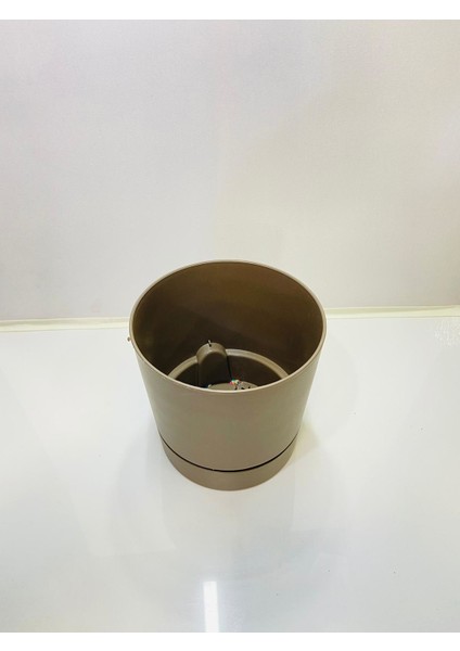 Begonya 18 cm Sütlü Kahve Tabaklı Saksı fırsatları