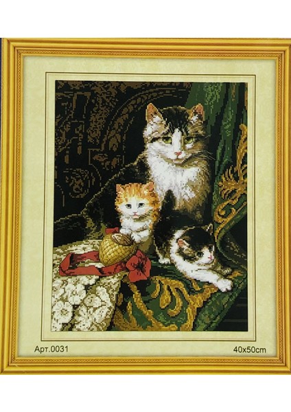 Goblen Etamin Işleme Seti 40X50 cm 031