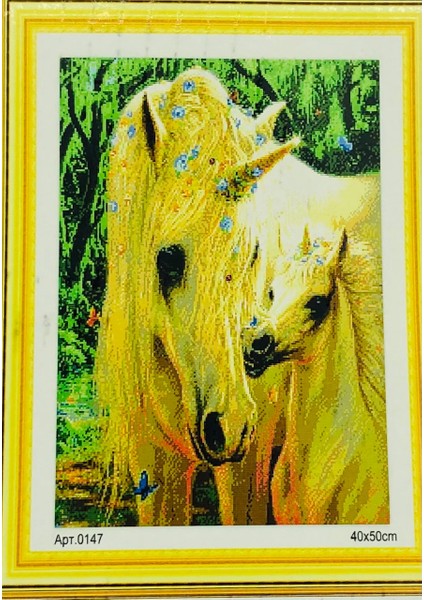 Goblen Etamin Işleme Seti 40X50 cm 147