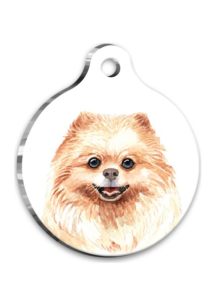 Pet Tag Art Suluboya Pomeranian Yuvarlak Köpek Künyesi