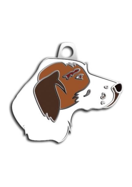 Pointer Köpek Künyesi