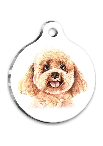 Suluboya Toy Poodle Yuvarlak Köpek Künyesi