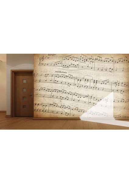 Müzik Notaları Özel Tasarım Duvar Kağıdı