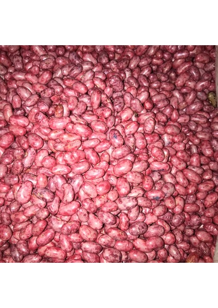 Gina Oturak Fasulye Tohumu 100 Gr