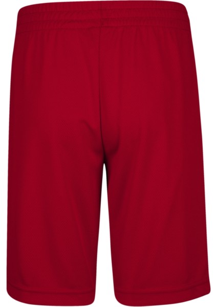 Jordan Jdb Vert Mesh Erkek Çocuk Şort 957176-R78