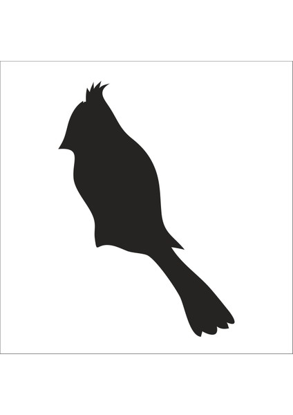 Kuş Folyo Sticker 77 80CM Uzunluk