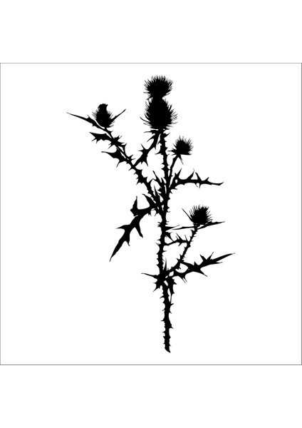 Ağaç Ve Gül Resimleri 50 90 cm Uzunluk