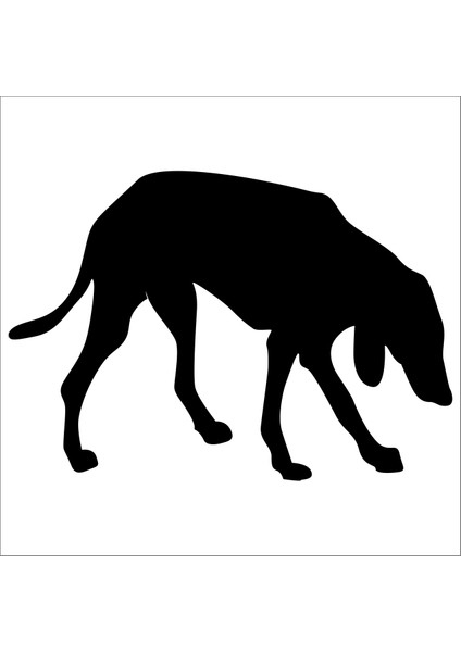 Köpek Folyo Sticker 47 90 cm Uzunluk