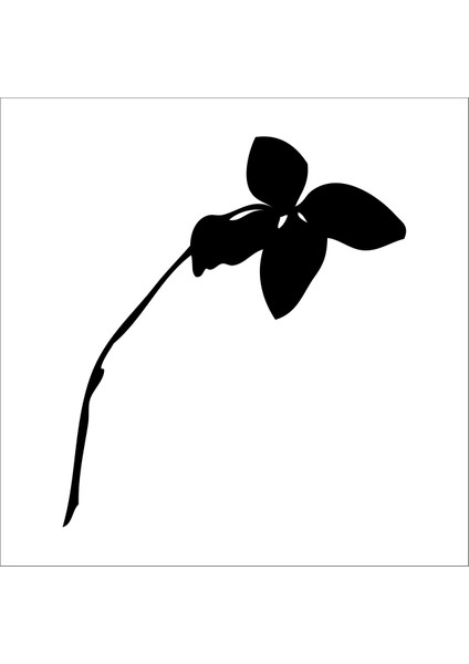 Ağaç Ve Gül Resimleri 34 60 cm Uzunluk