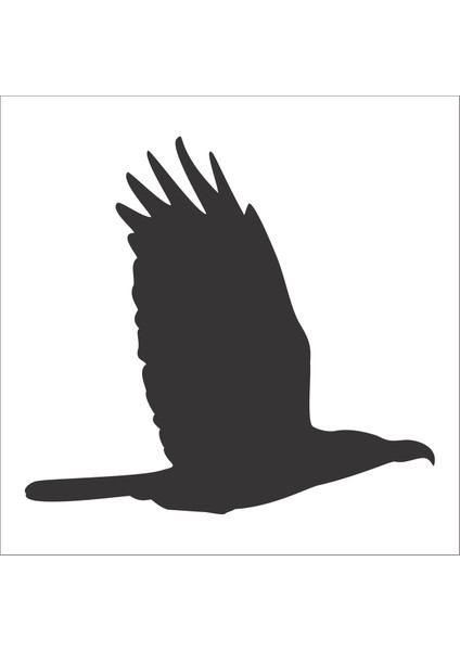 Kuş Folyo Sticker 99 20 cm Uzunluk