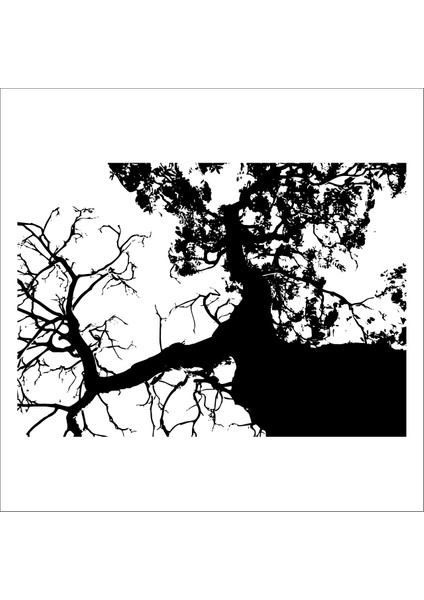 Ağaç Ve Gül Resimleri 20 90 cm Uzunluk