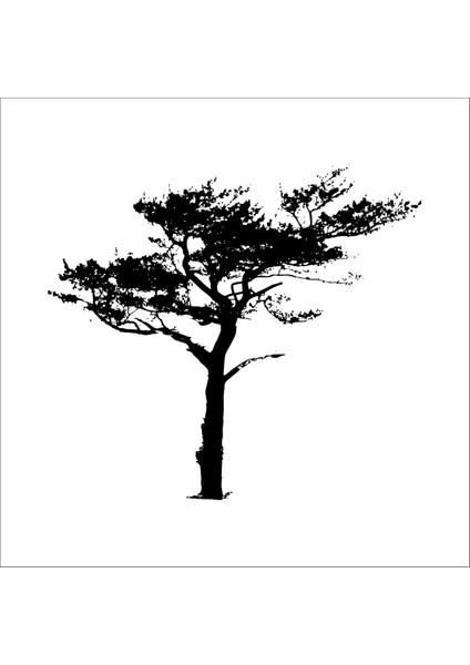Ağaç Ve Gül Resimleri 5 160 cm Uzunluk
