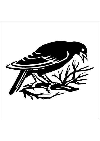 Kuş Folyo Sticker 86 130 cm Uzunluk