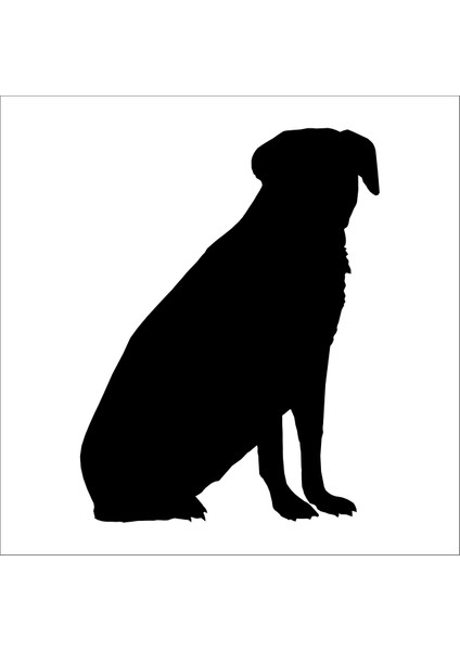 Köpek Folyo Sticker 53 60 cm Uzunluk