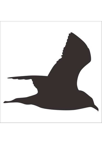 Kuş Folyo Sticker 88 200 cm Uzunluk