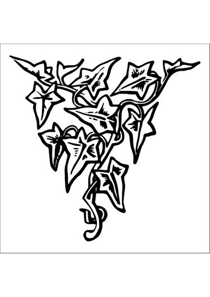 Ağaç Ve Gül Resimleri 59 60 cm Uzunluk