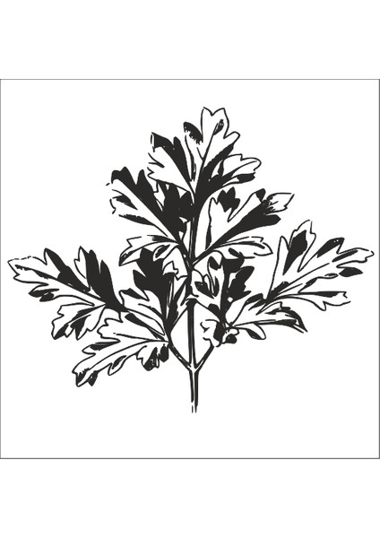 Ağaç Ve Gül Resimleri 76 80 cm Uzunluk