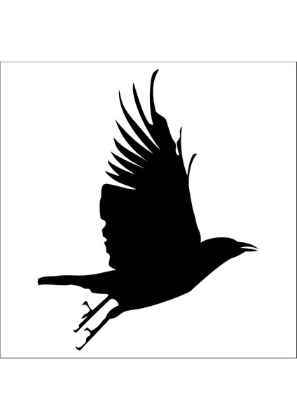 Kuş Folyo Sticker 75 80 cm Uzunluk