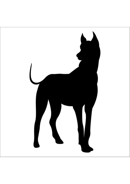 Köpek Folyo Sticker 43 160 cm Uzunluk