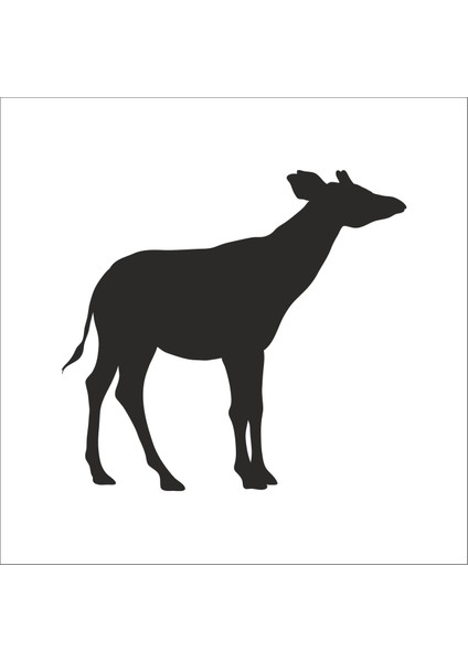 Geyik Folyo Sticker 96 40 cm Uzunluk