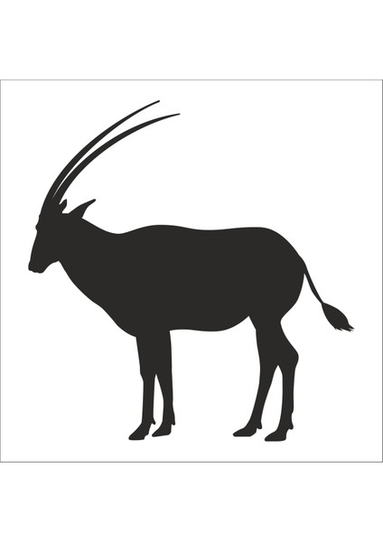 Geyik Folyo Sticker 99 80 cm Uzunluk
