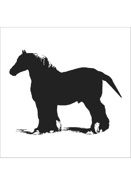 At Folyo Sticker 15 70 cm Uzunluk