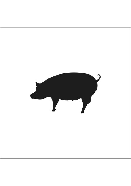 Domuz Folyo Sticker 68 100 cm Uzunluk