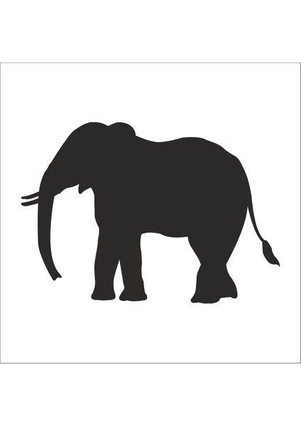Fil Folyo Sticker 85 20 cm Uzunluk