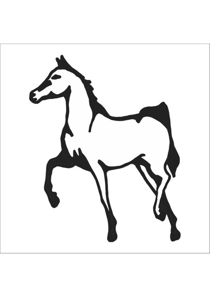 At Folyo Sticker 37 30 cm Uzunluk