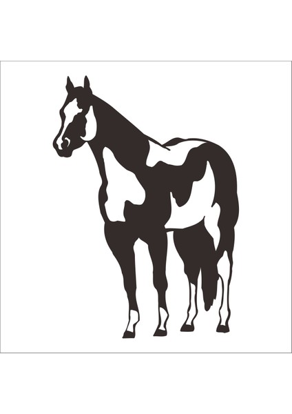 At Folyo Sticker 21 50 cm Uzunluk