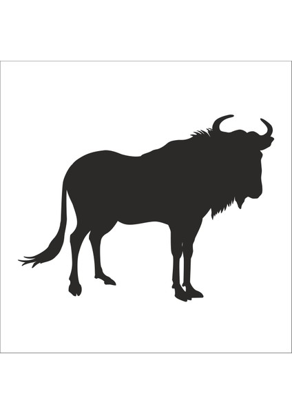 Bufalo Folyo Sticker 55 20 cm Uzunluk