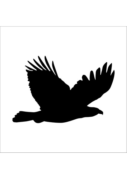 Kartal Folyo Sticker 132 80 cm Uzunluk