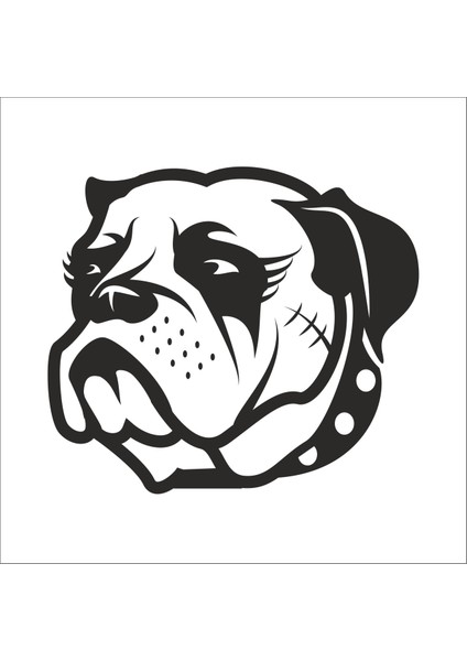 Buldok Köpek Folyo Sticker 56 80 cm Uzunluk
