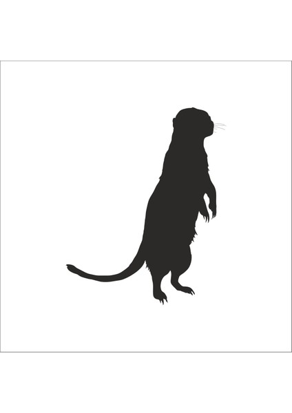 Gelincik Folyo Sticker 93 80 cm Uzunluk