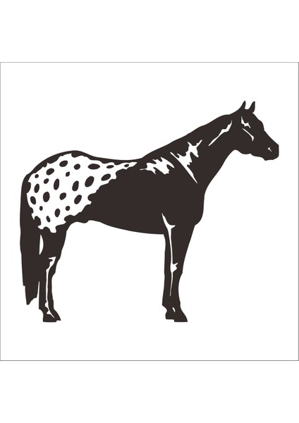 At Folyo Sticker 26 30 cm Uzunluk