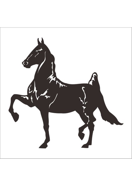 At Folyo Sticker 27 60 cm Uzunluk