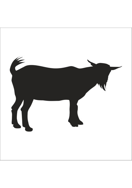Keçi Folyo Sticker 137 90 cm Uzunluk