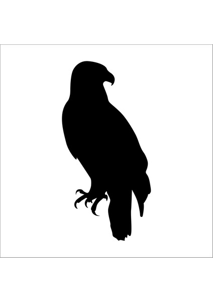 Kartal Folyo Sticker 129 200 cm Uzunluk