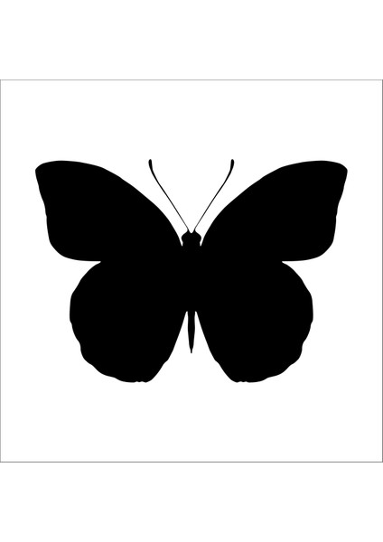 Kelebek Folyo Sticker 12 20 cm Uzunluk