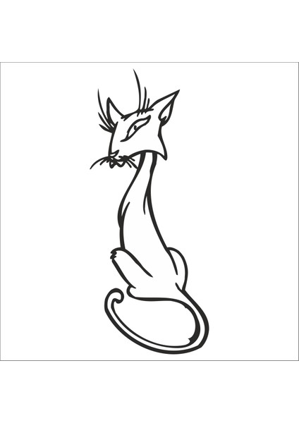 Kedi Folyo Sticker 151 160 cm Uzunluk