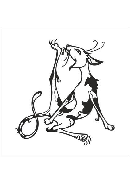 Kedi Folyo Sticker 144 60 cm Uzunluk