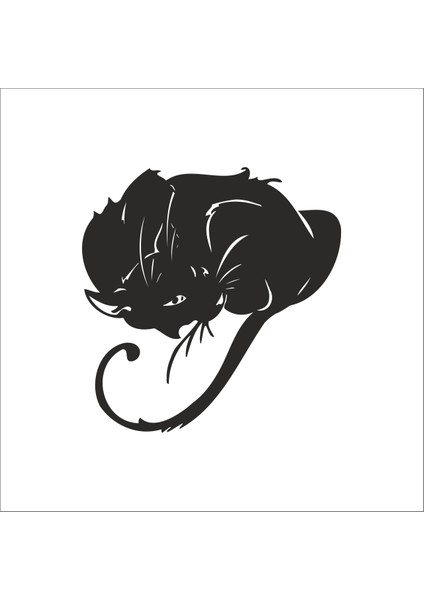 Kedi Folyo Sticker 156 160 cm Uzunluk