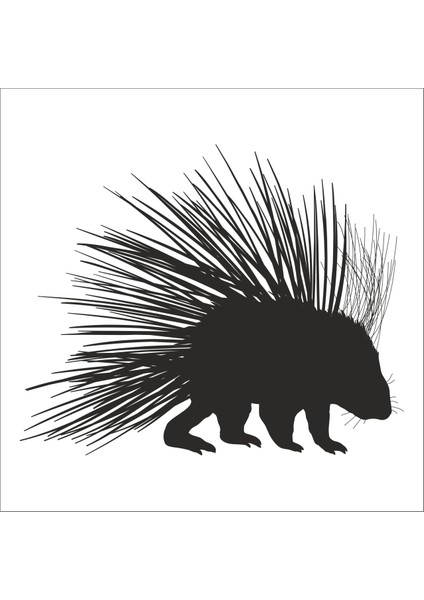 Kirpi Folyo Sticker 19 100 cm Uzunluk