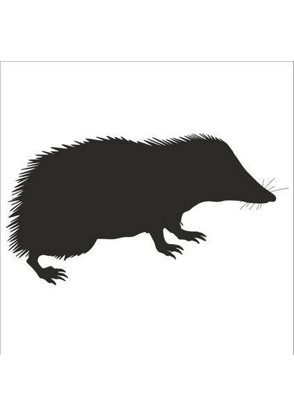 Kirpi Folyo Sticker 20 200 cm Uzunluk